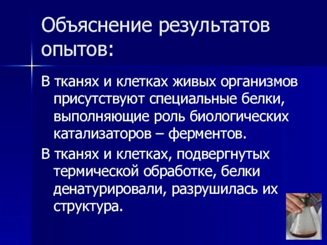 Объяснение результатов опытов: В тканях и клетках живых организмов присутствуют специальные белки,