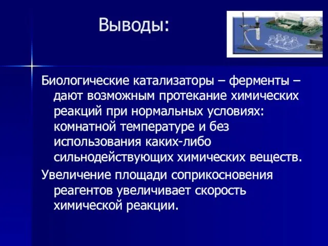 Выводы: Биологические катализаторы – ферменты – дают возможным протекание химических реакций при