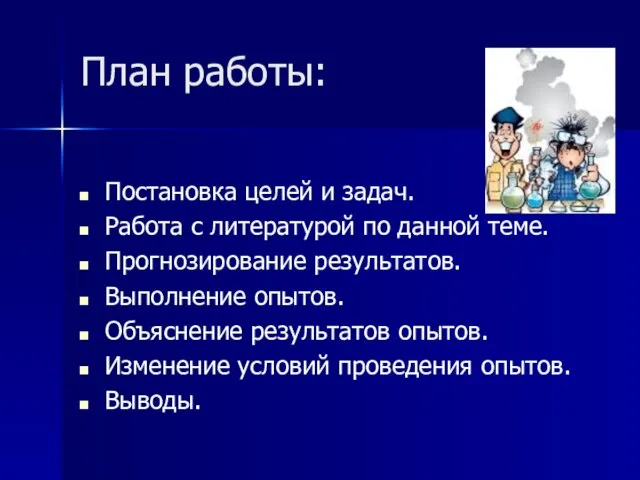 План работы: Постановка целей и задач. Работа с литературой по данной теме.