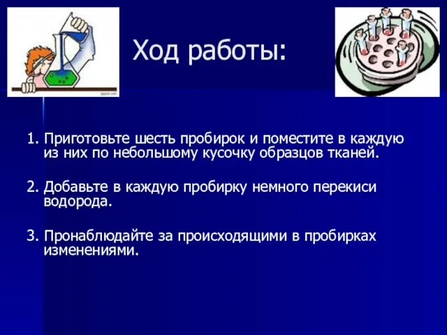 Ход работы: 1. Приготовьте шесть пробирок и поместите в каждую из них