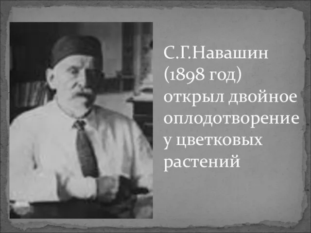 С.Г.Навашин (1898 год) открыл двойное оплодотворение у цветковых растений