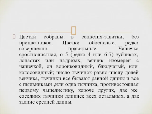 Цветки собраны в соцветия-завитки, без прицветников. Цветки обоеполые, редко совершенно правильные. Чашечка