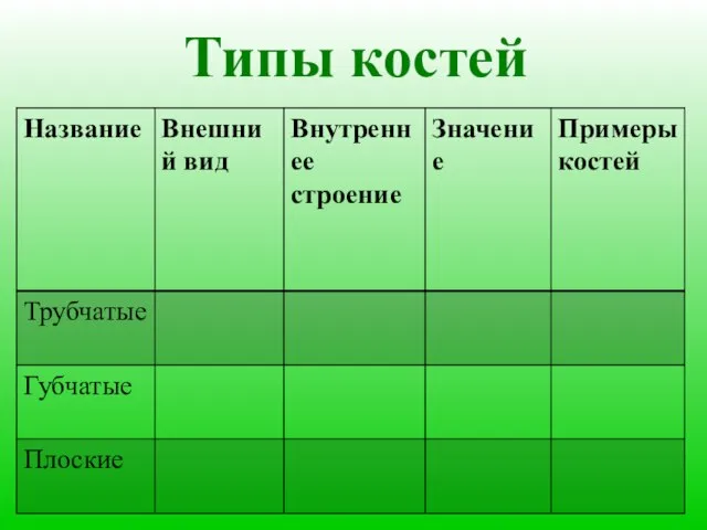 Типы костей