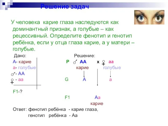 Решение задач Дано: Решение: А- карие Р АА х аа а- голубые