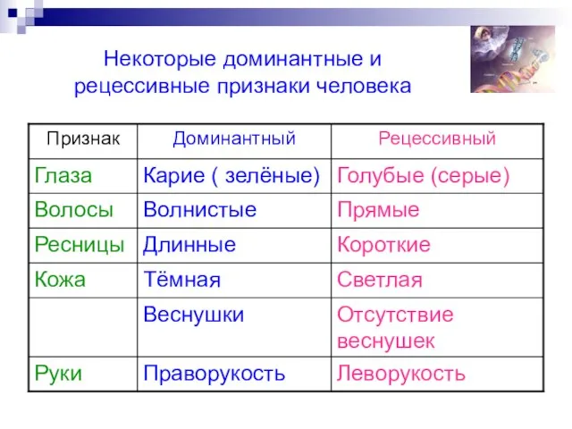 Некоторые доминантные и рецессивные признаки человека