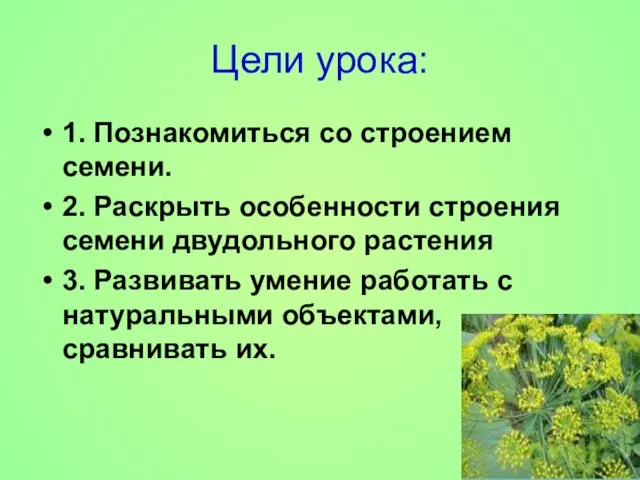 Цели урока: 1. Познакомиться со строением семени. 2. Раскрыть особенности строения семени