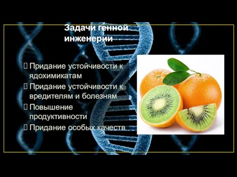 Задачи генной инженерии Придание устойчивости к ядохимикатам Придание устойчивости к вредителям и