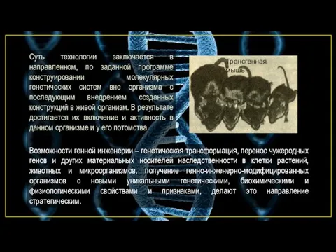 Суть технологии заключается в направленном, по заданной программе конструировании молекулярных генетических систем