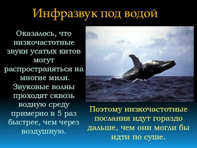 Инфразвук под водой Оказалось, что низкочастотные звуки усатых китов могут распространяться на