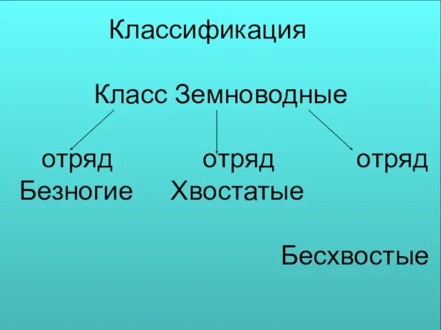 Классификация Класс Земноводные отряд отряд отряд Безногие Хвостатые Бесхвостые