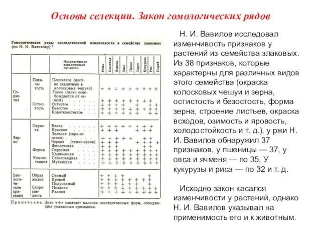 Н. И. Вавилов исследовал изменчивость признаков у растений из семейства злаковых. Из