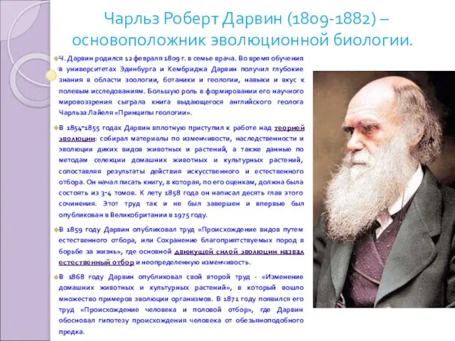 Чарльз Роберт Дарвин (1809-1882) – основоположник эволюционной биологии. Ч. Дарвин родился 12