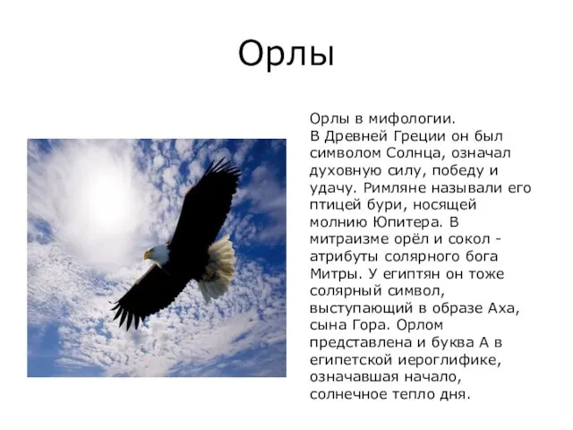 Орлы Орлы в мифологии. В Древней Греции он был символом Солнца, означал