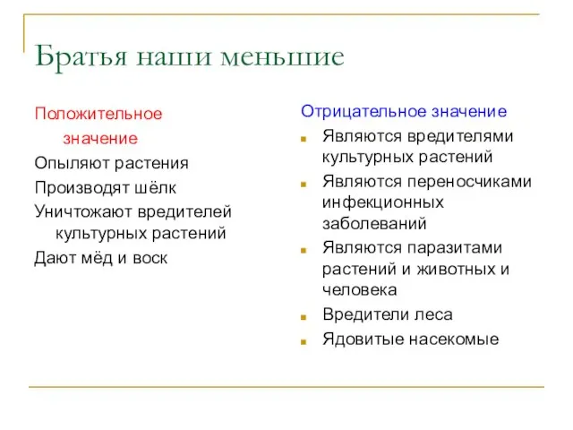 Братья наши меньшие Положительное значение Опыляют растения Производят шёлк Уничтожают вредителей культурных