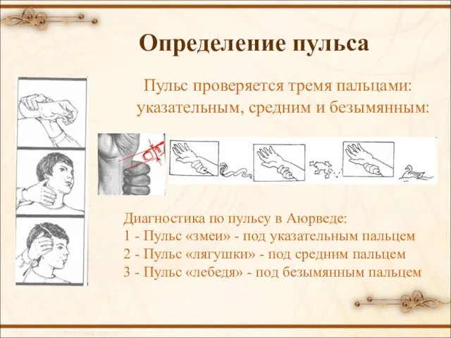 Определение пульса Пульс проверяется тремя пальцами: указательным, средним и безымянным: Диагностика по