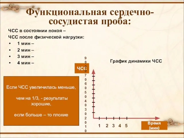 ЧСС в состоянии покоя – ЧСС после физической нагрузки: 1 мин –