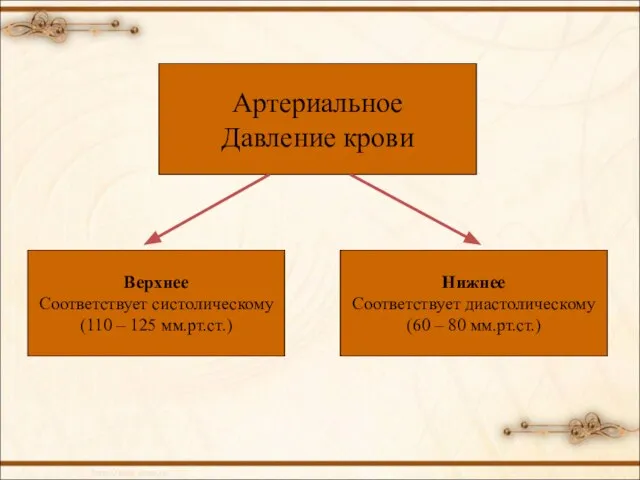 Артериальное Давление крови Верхнее Соответствует систолическому (110 – 125 мм.рт.ст.) Нижнее Соответствует