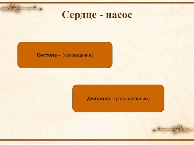 Сердце - насос Систола - (сокращение) Диастола - (расслабление)
