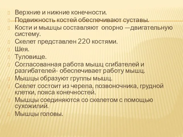 Верхние и нижние конечности. Подвижность костей обеспечивают суставы. Кости и мышцы составляют