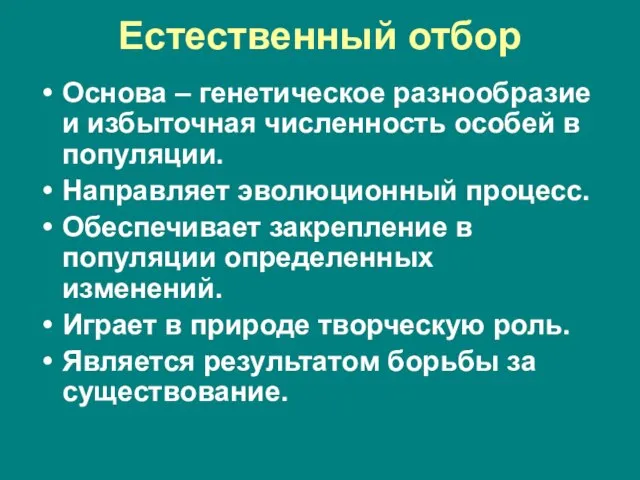 Естественный отбор Основа – генетическое разнообразие и избыточная численность особей в популяции.