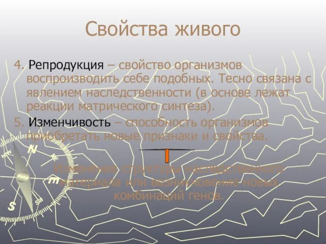 Свойства живого 4. Репродукция – свойство организмов воспроизводить себе подобных. Тесно связана