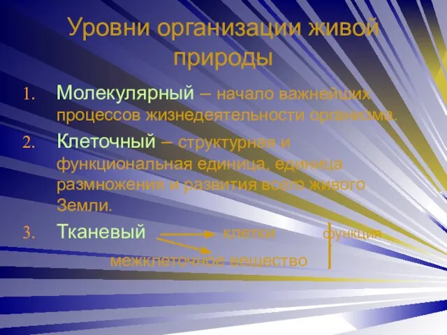 Уровни организации живой природы Молекулярный – начало важнейших процессов жизнедеятельности организма. Клеточный