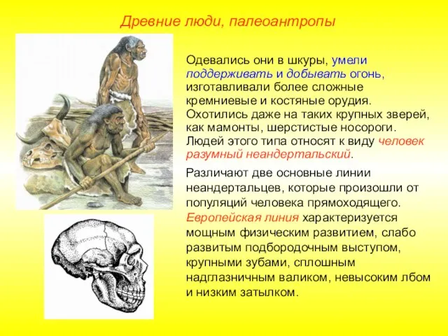 Одевались они в шкуры, умели поддерживать и добывать огонь, изготавливали более сложные