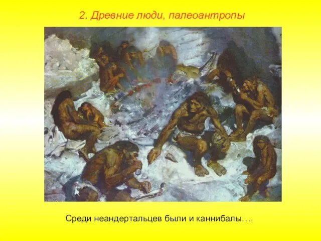 2. Древние люди, палеоантропы Среди неандертальцев были и каннибалы….