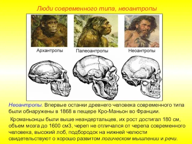 Люди современного типа, неоантропы Неоантропы. Впервые останки древнего человека современного типа были