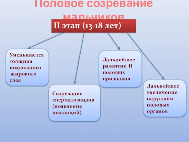 Половое созревание мальчиков II этап (13-18 лет) Уменьшается толщина подкожного жирового слоя