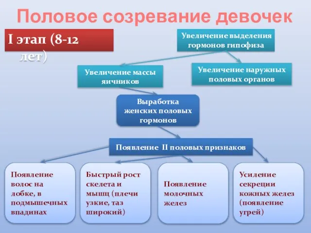 Половое созревание девочек I этап (8-12 лет) Увеличение выделения гормонов гипофиза Увеличение