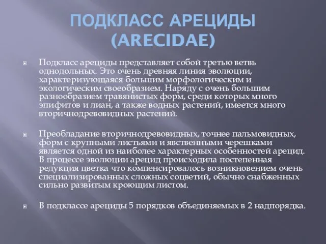 ПОДКЛАСС АРЕЦИДЫ (ARECIDAE) Подкласс арециды представляет собой третью ветвь однодольных. Это очень