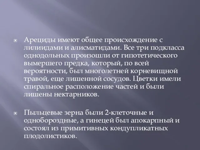 Арециды имеют общее происхождение с лилиидами и алисматидами. Все три подкласса однодольных