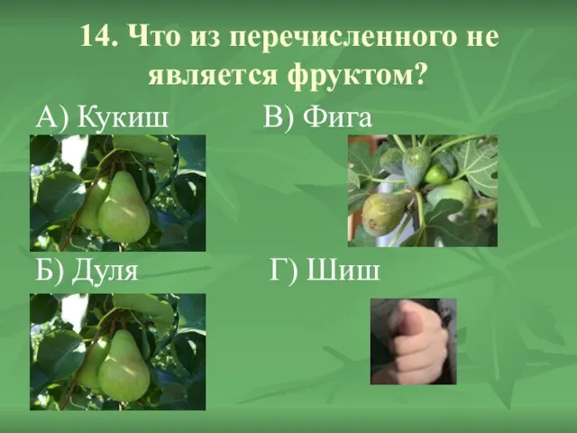 14. Что из перечисленного не является фруктом? А) Кукиш В) Фига Б) Дуля Г) Шиш