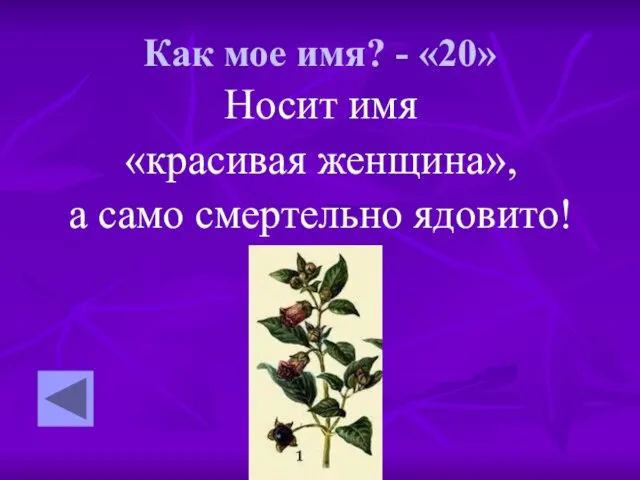 Как мое имя? - «20» Носит имя «красивая женщина», а само смертельно ядовито!