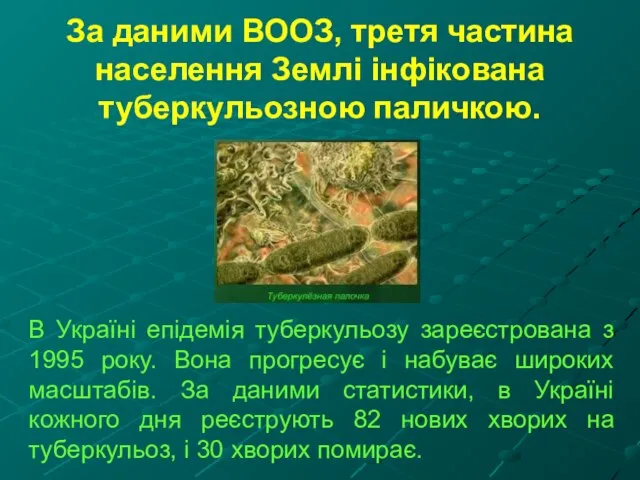 За даними ВООЗ, третя частина населення Землі інфікована туберкульозною паличкою. В Україні