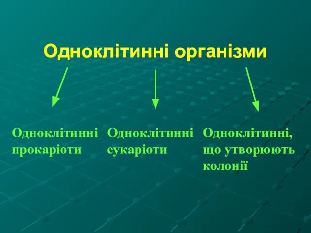 Одноклітинні організми