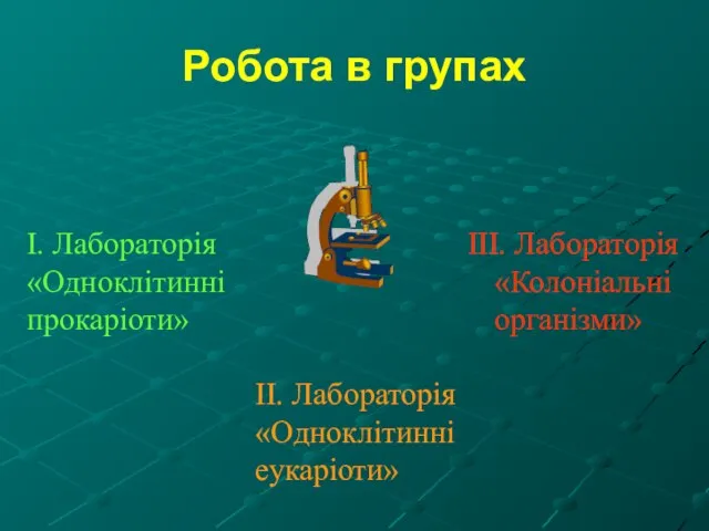 Робота в групах ІІ. Лабораторія «Одноклітинні еукаріоти»