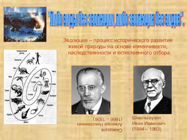 Эволюция – процесс исторического развития живой природы на основе изменчивости, наследственности и