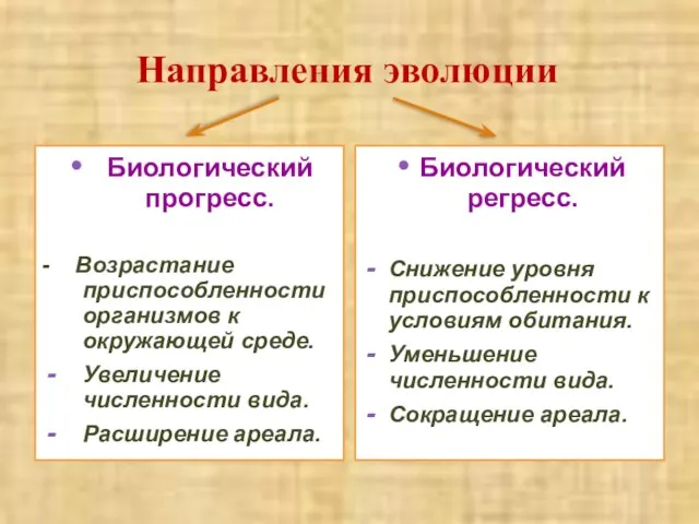 Направления эволюции Биологический прогресс. - Возрастание приспособленности организмов к окружающей среде. Увеличение