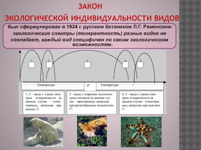Закон экологической индивидуальности видов был сформулирован в 1924 г. русским ботаником Л.Г.