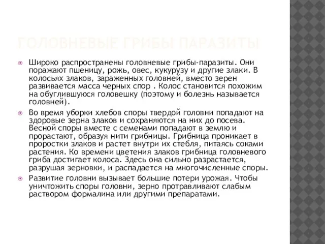 Головневые грибы паразиты Широко распространены головневые грибы-паразиты. Они поражают пшеницу, рожь, овес,