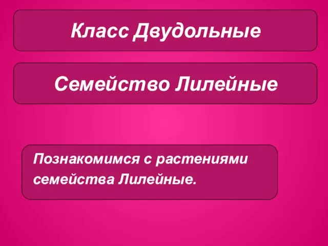 Класс однодольные Класс Двудольные Семейство Лилейные Познакомимся с растениями семейства Лилейные.