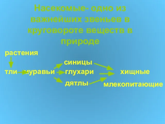 Насекомые- одно из важнейших звеньев в круговороте веществ в природе растения синицы