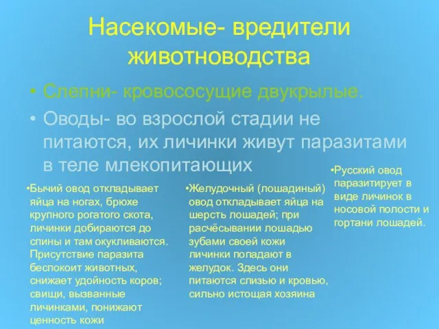 Насекомые- вредители животноводства Слепни- кровососущие двукрылые. Оводы- во взрослой стадии не питаются,