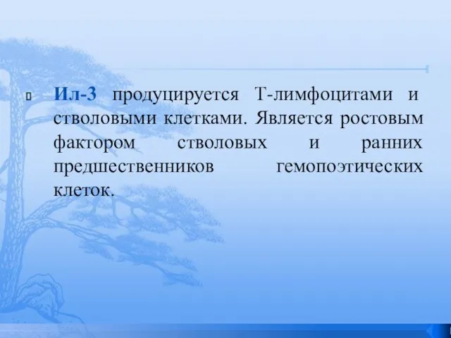 Ил-3 продуцируется Т-лимфоцитами и стволовыми клетками. Является ростовым фактором стволовых и ранних предшественников гемопоэтических клеток.