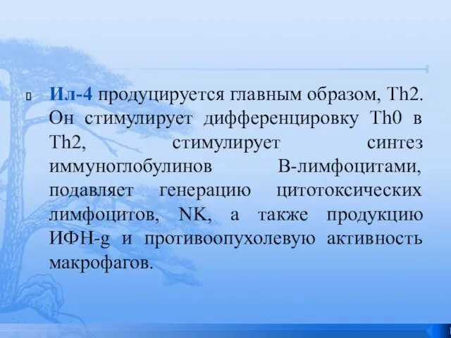 Ил-4 продуцируется главным образом, Th2. Он стимулирует дифференцировку Th0 в Th2, стимулирует