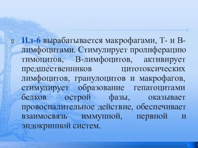 Ил-6 вырабатывается макрофагами, Т- и В-лимфоцитами. Стимулирует пролиферацию тимоцитов, В-лимфоцитов, активирует предшественников