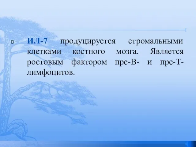 ИЛ-7 продуцируется стромальными клетками костного мозга. Является ростовым фактором пре-В- и пре-Т-лимфоцитов.