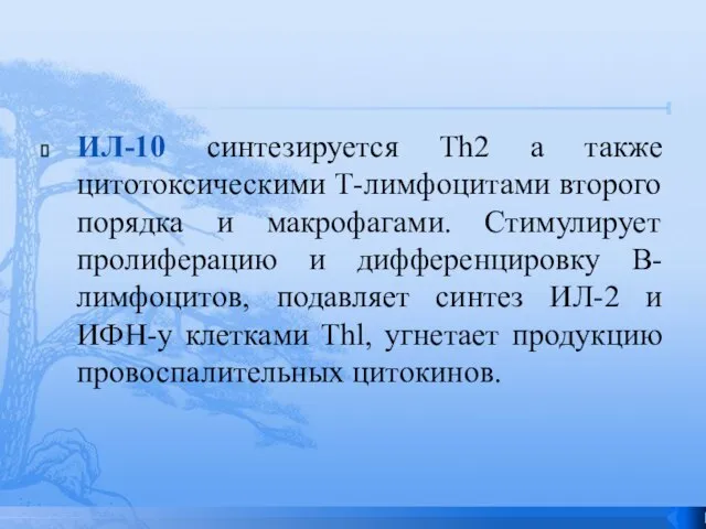 ИЛ-10 синтезируется Th2 а также цитотоксическими Т-лимфоцитами второго порядка и макрофагами. Стимулирует